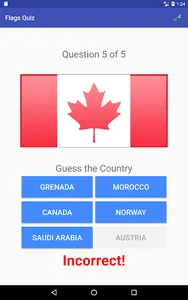 Flags Quiz screenshot 9
