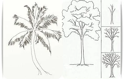 Learn to Draw Trees screenshot 2