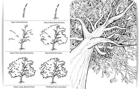 Learn to Draw Trees screenshot 4