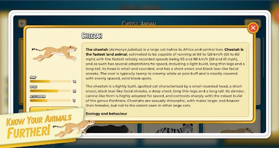 Let's Run Animals screenshot 6