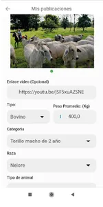 CEBUSK screenshot 4
