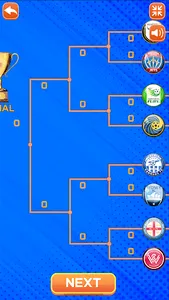 A-League Soccer screenshot 11