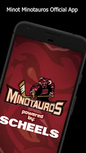 Tauros Hockey screenshot 0