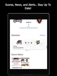 Knoxville Ice Bears screenshot 7