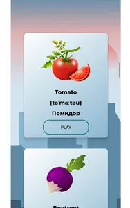 Английский язык screenshot 13