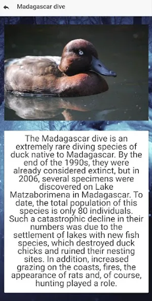 Endangered animal species screenshot 1