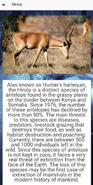Endangered animal species screenshot 2