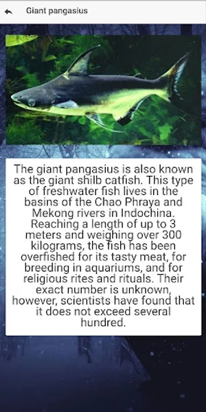 Endangered animal species screenshot 3