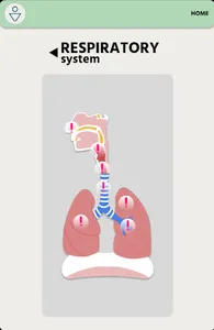 MedKids screenshot 5