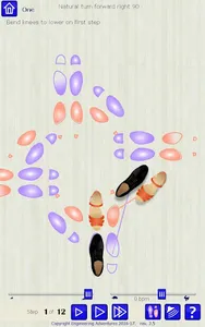 Ballroom Dancing Step Trainer screenshot 2