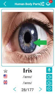 Body Parts Name and Pictures screenshot 11