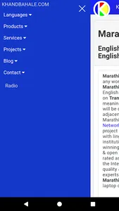 English-Marathi-English Dictio screenshot 22