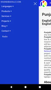 English-Punjabi-English Dictio screenshot 19