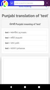 English-Punjabi-English Dictio screenshot 6