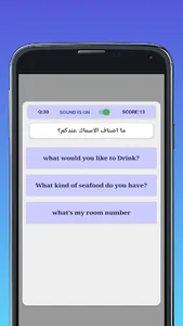 English Quiz screenshot 7