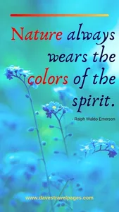 Natural Relaxing Quotes screenshot 5