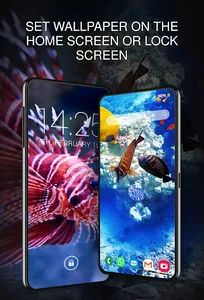 Your Wallpapers with Fishes screenshot 0