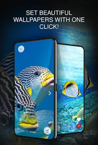 Your Wallpapers with Fishes screenshot 1