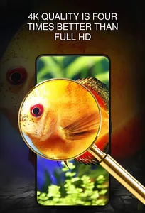 Your Wallpapers with Fishes screenshot 3