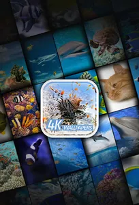 Your Wallpapers with Fishes screenshot 4
