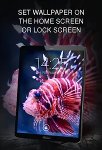 Your Wallpapers with Fishes screenshot 5