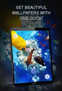 Your Wallpapers with Fishes screenshot 6