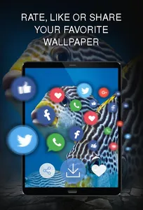 Your Wallpapers with Fishes screenshot 7