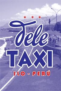 TeleTaxi Conductor screenshot 2