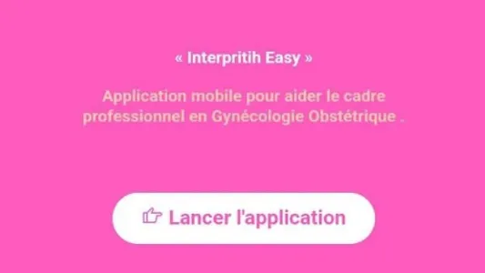 interpritih easy screenshot 8