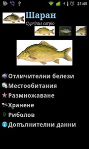 РибиБГ (FishBG) screenshot 2