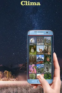 Torres del Paine Chile screenshot 4