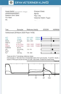 Erya Veteriner screenshot 4