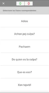 Lic Traductor screenshot 6