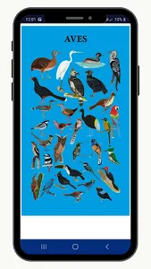 Animales Iskonawa screenshot 11