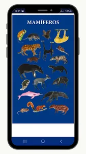 Animales Iskonawa screenshot 2