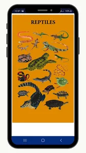 Animales Iskonawa screenshot 4