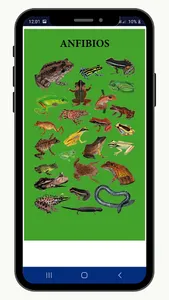 Animales Iskonawa screenshot 5