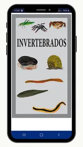 Animales Iskonawa screenshot 6