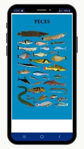 Animales Iskonawa screenshot 7