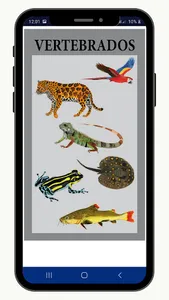 Animales Iskonawa screenshot 9