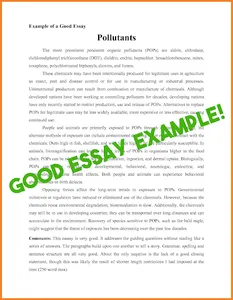 Essay Examples: How to Write a screenshot 1