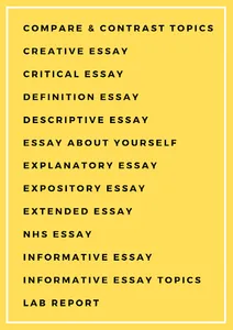 Essay Examples: How to Write a screenshot 8