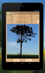 Forest Files screenshot 10