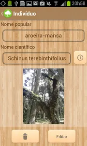Forest Files screenshot 3
