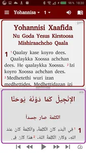 Gamo NT with Amharic English screenshot 7