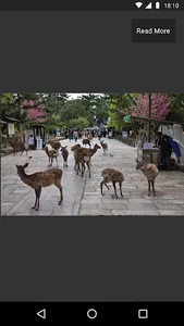 Nara Travel Guide screenshot 4