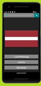 European flags quiz screenshot 4