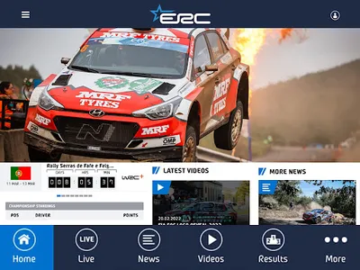 FIA ERC screenshot 7