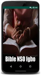 Bible NSO Igbo screenshot 0