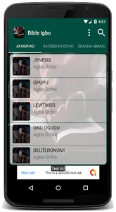 Bible NSO Igbo screenshot 1